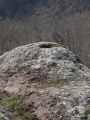 Palazzolo - PID:26167