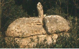 Bric Pinarella