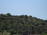 Roselle - PID:133041