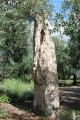 Canne Standing Stone
