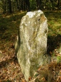 Ceresa Menhir 1 - PID:45491