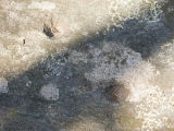 Ceresa Engraved Stone - PID:46050