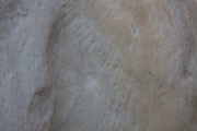Click for full size image of Piraeus Lion (PID:116174) Piraeus Lion