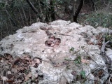 Altar Stone near Bric Le Pile - PID:133738