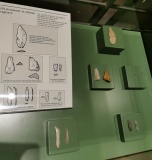MUVIS Museum