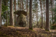 Der Menhir von Wolfsgruben - PID:160113