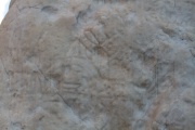 Click for full size image of Piraeus Lion (PID:116176) Piraeus Lion