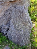 Alpe Gibuli
