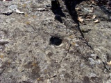 Sant' Alosio cup marks - PID:45446