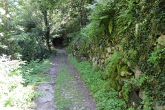 Nadro Ancient Road