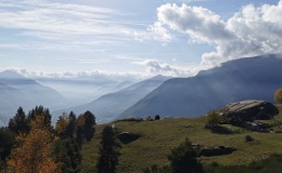 Masso coppellato Alpe La Prasca