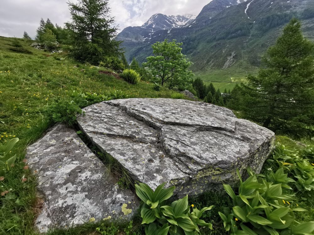 Click for the gallery page to add comments and vote (PID:275239) Ai Grass/Crestone Higher Stone