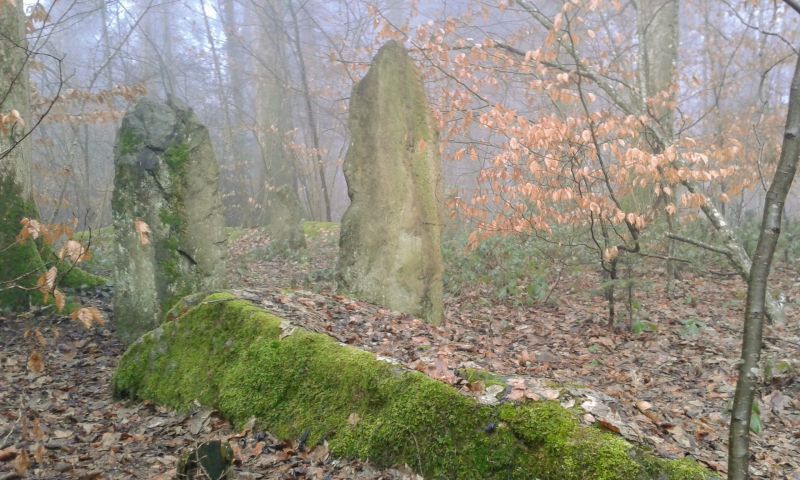 Althau Menhirs