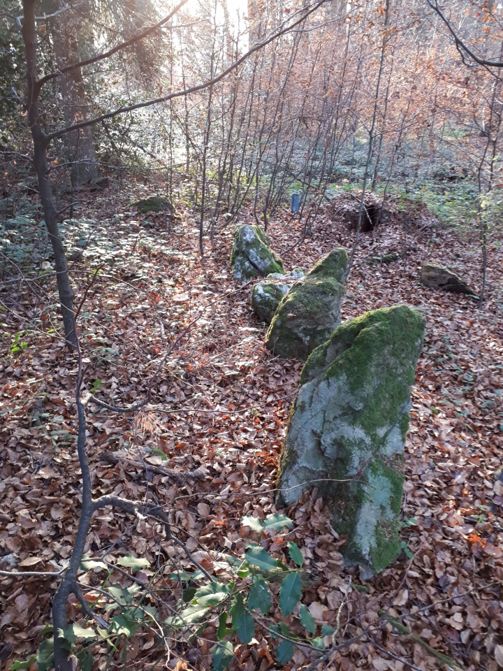 Click for the gallery page to add comments and vote (PID:220399) Müliberg Gottert Süd