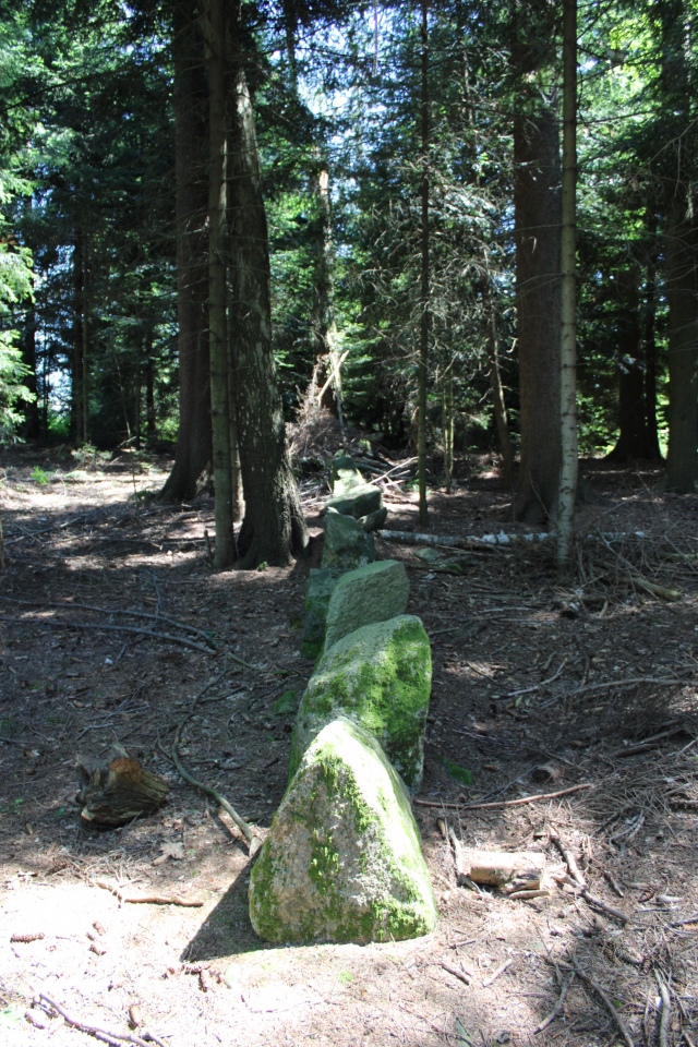 Click for the gallery page to add comments and vote (PID:244549) Chilchberg Steinreihe