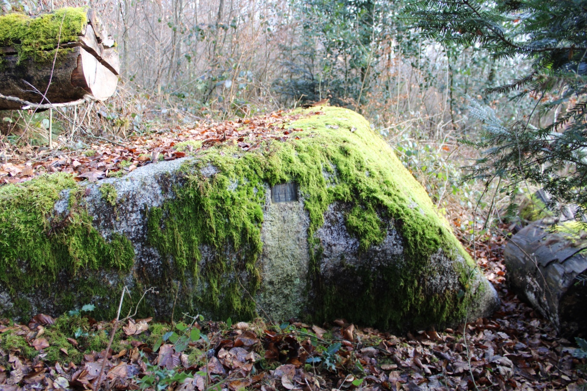 Click for the gallery page to add comments and vote (PID:284571) Rüttenen Schalenstein