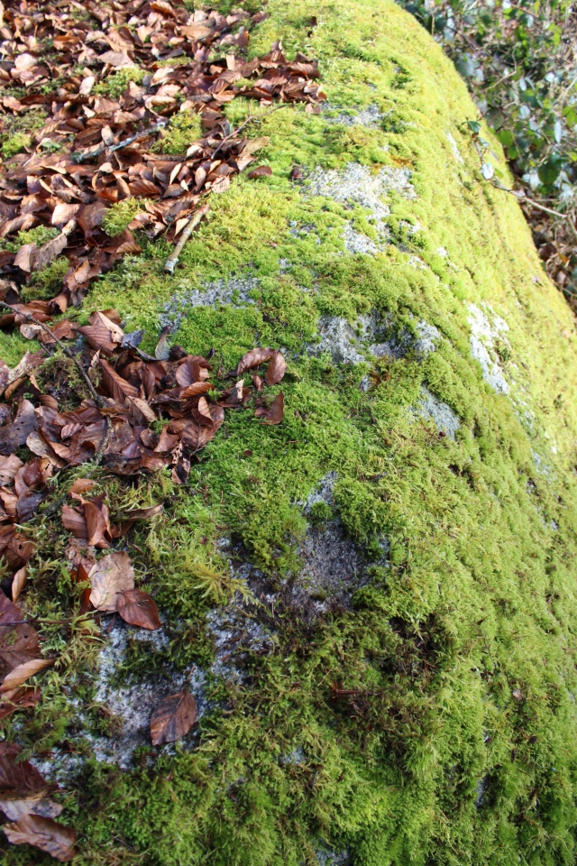 Click for the gallery page to add comments and vote (PID:284570) Rüttenen Schalenstein