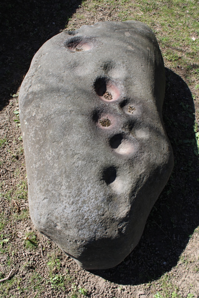 Rances Schalensteine