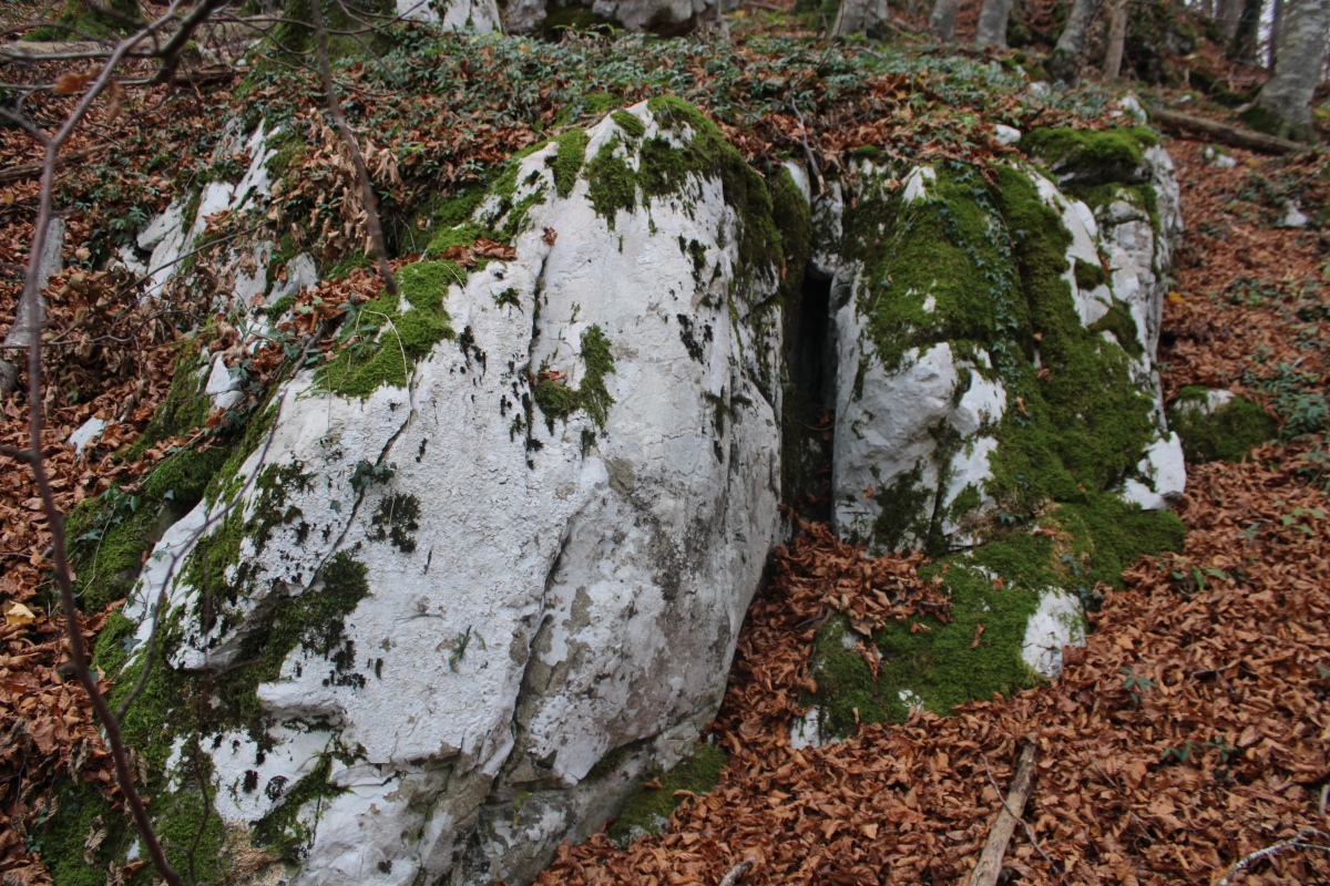 Click for the gallery page to add comments and vote (PID:298844) Tschütschiwald Chindlistein