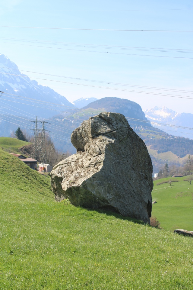 Click for the gallery page to add comments and vote (PID:302887) Tümmlen Steinreihe