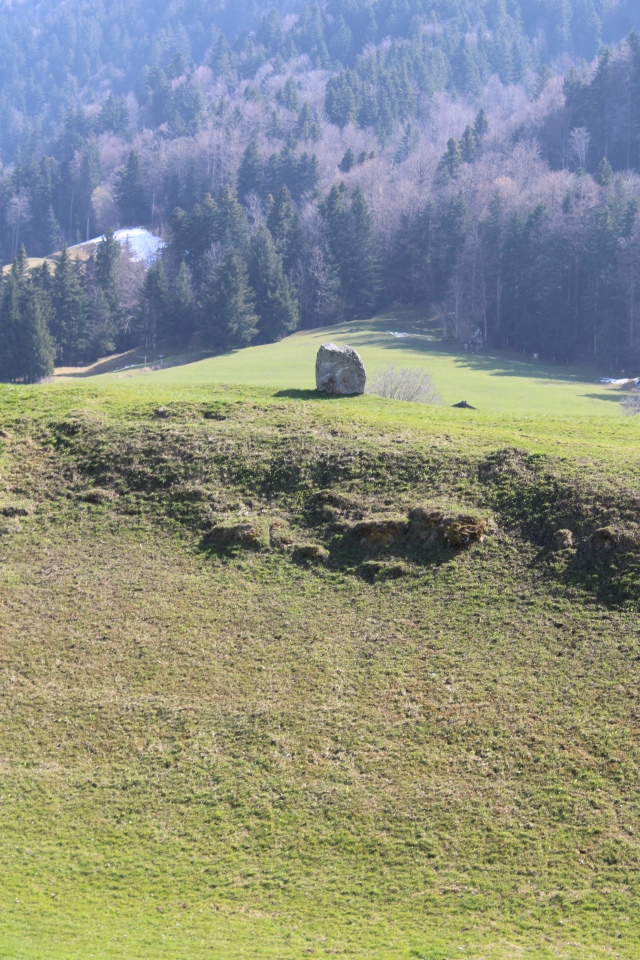 Click for the gallery page to add comments and vote (PID:302877) Hänibüel Menhir