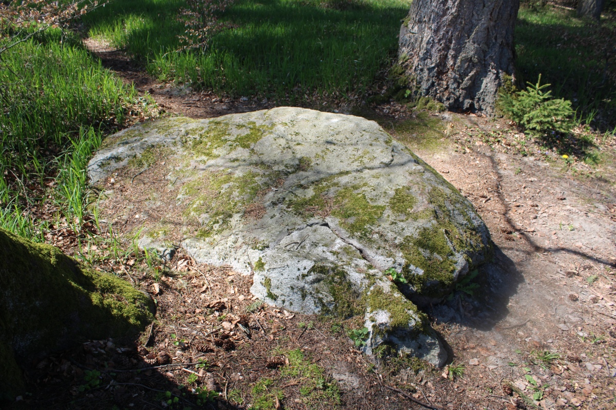 Click for the gallery page to add comments and vote (PID:303445) Dotzigeberg Schalenstein