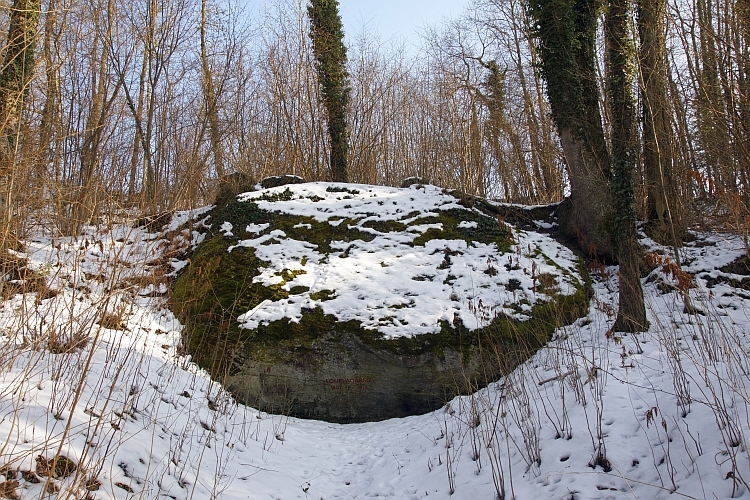 Agassiz Stein