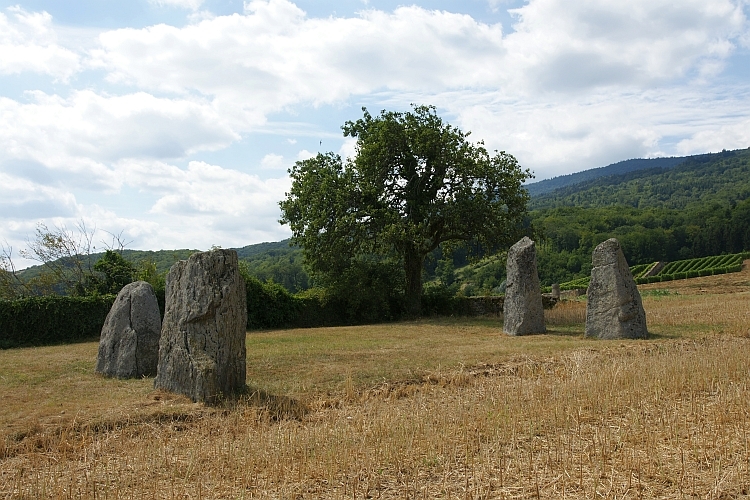 Click for the gallery page to add comments and vote (PID:104605) Pierres Longues de Corcelles