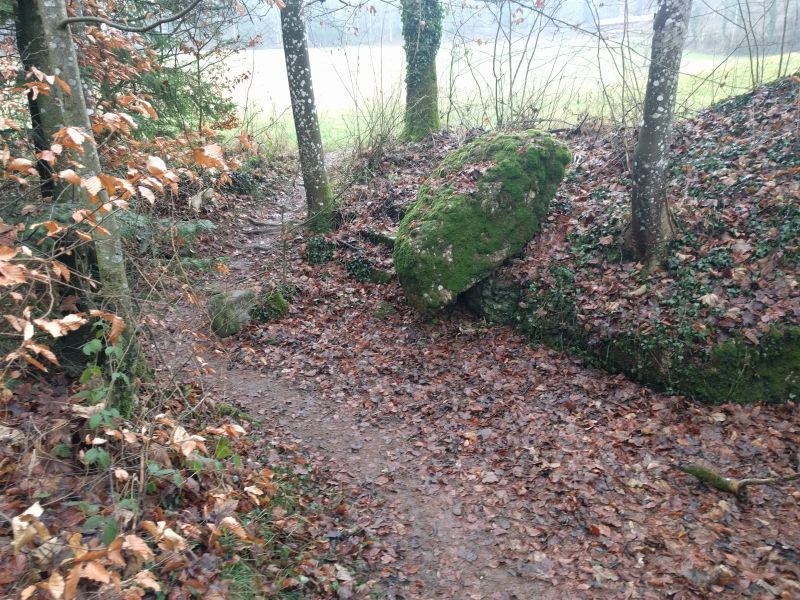 Click for the gallery page to add comments and vote (PID:190988) Gnappstein auf dem Homberg
