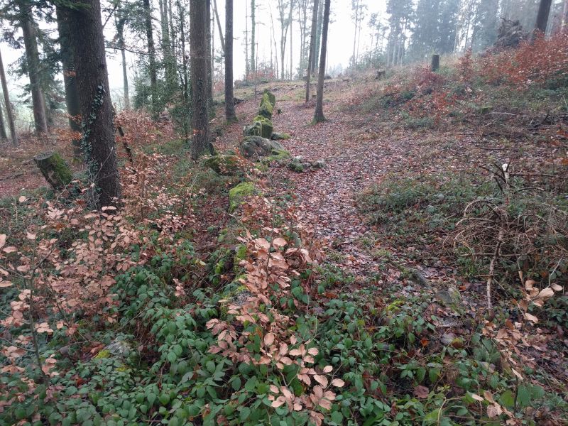 Click for the gallery page to add comments and vote (PID:190899) Wellenweid Steinreihen