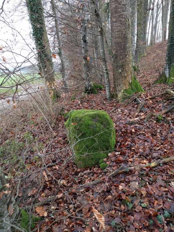 Click for the gallery page to add comments and vote (PID:191153) Grund Stone Row and Menhir
