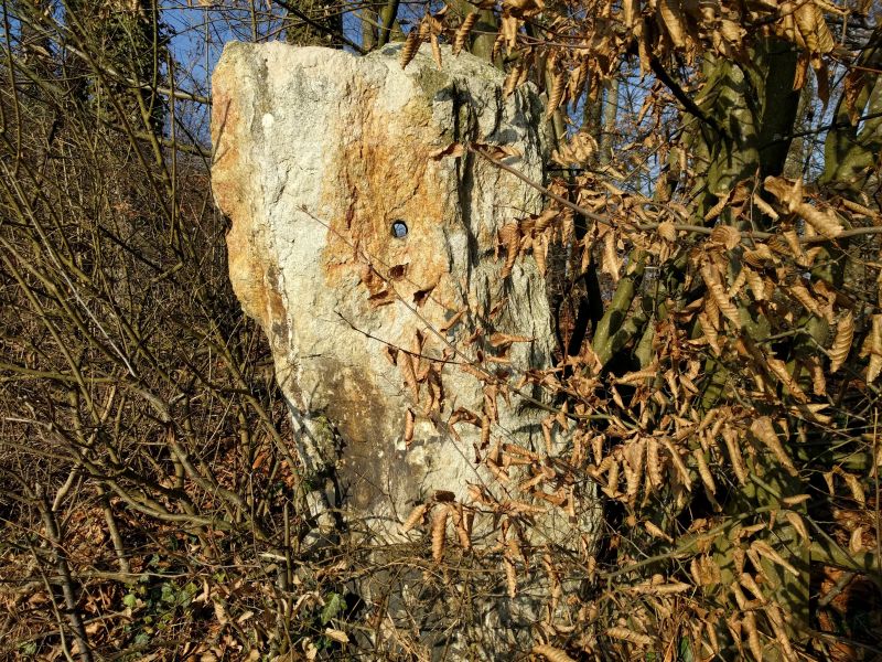 Click for the gallery page to add comments and vote (PID:192542) Altgrüt Lochstein