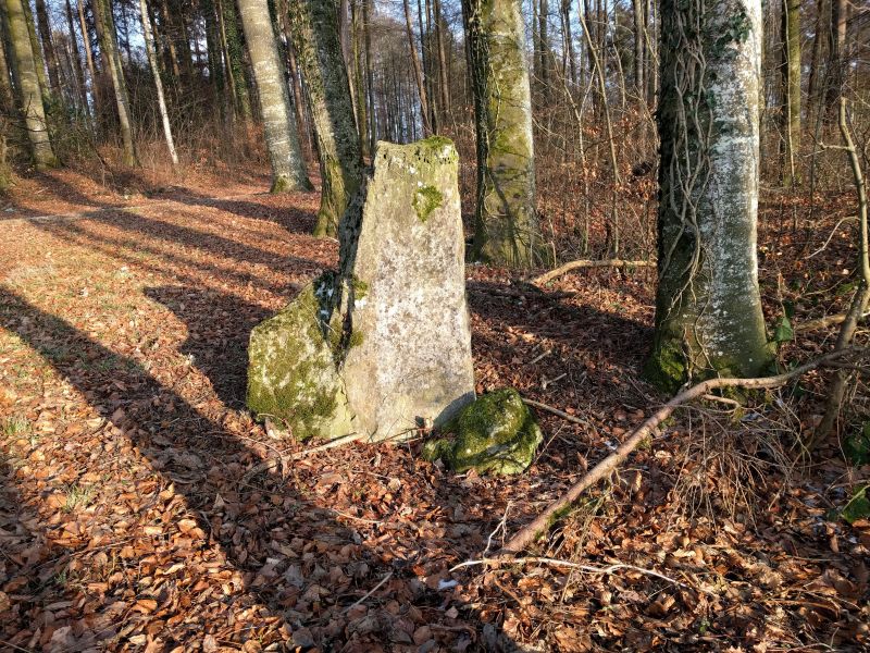 Click for the gallery page to add comments and vote (PID:192616) Tannbüel Menhir and Alignment