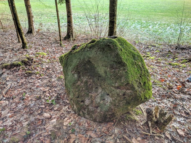 Click for the gallery page to add comments and vote (PID:192613) Oberholz Menhir