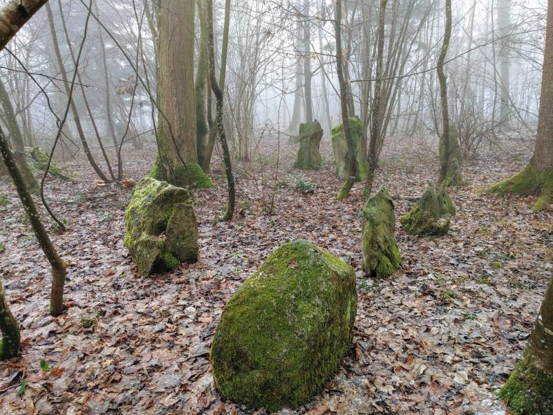 Althau Menhirs