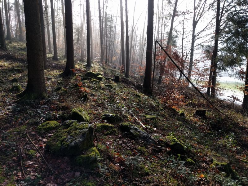 Click for the gallery page to add comments and vote (PID:193081) Eggmatt East Steinreihe