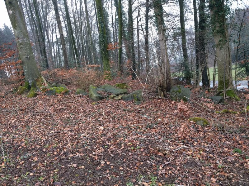 Click for the gallery page to add comments and vote (PID:193024) Plattenhölzli North
