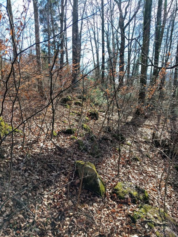 Click for the gallery page to add comments and vote (PID:194629) Schönhalde West Steinreihe
