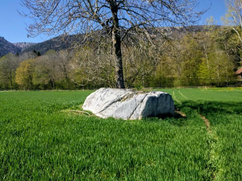 Click for the gallery page to add comments and vote (PID:196259) Selzach Schalenstein