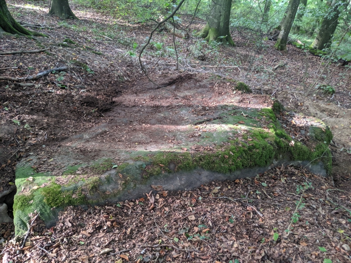 Nennigkofen Schalenstein