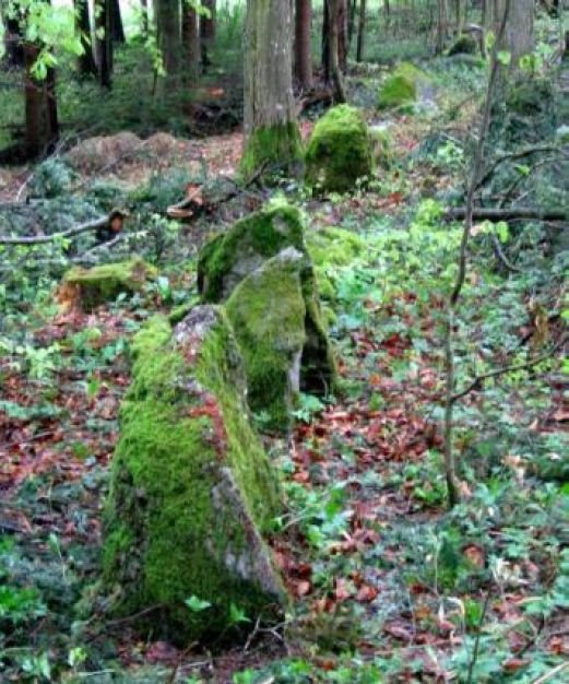 Click for the gallery page to add comments and vote (PID:190952) Jungholz Steinreihe