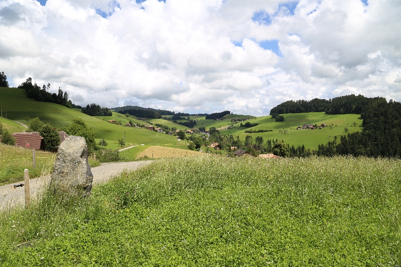 Lychleustein Möschberg-Oberthal