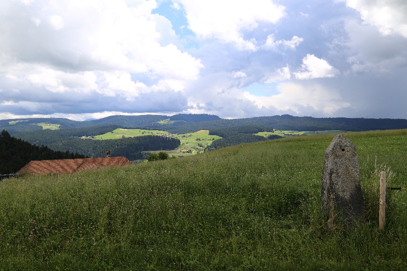 Lychleustein Möschberg-Oberthal