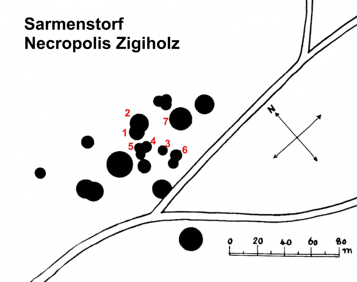 Necropolis Zigiholz