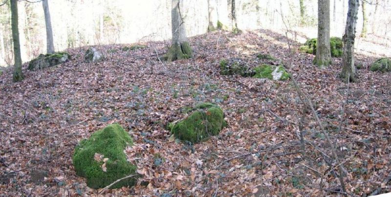 Click for the gallery page to add comments and vote (PID:193811) Bonstetten Schladhau Cromlech