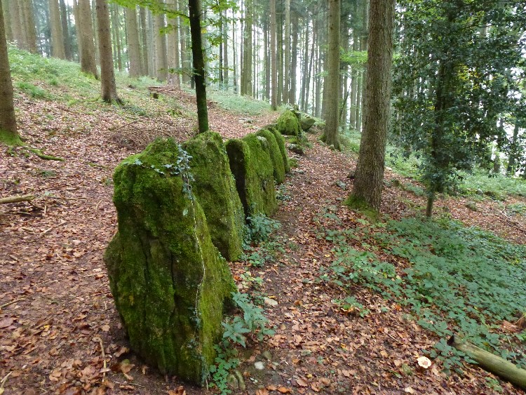 Click for the gallery page to add comments and vote (PID:111198) Wellenweid Steinreihen