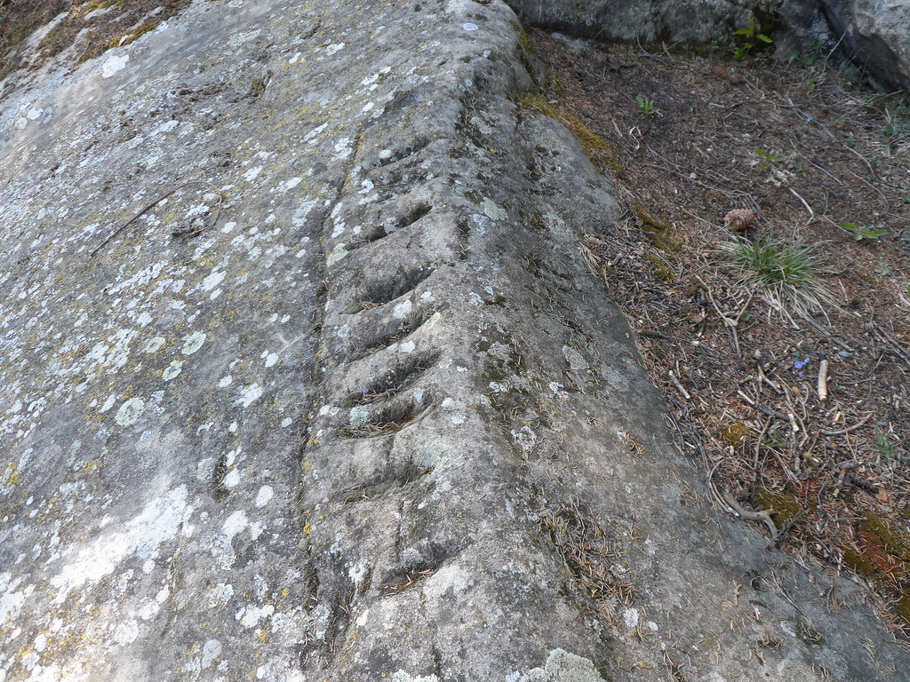 Holed Stone / Schalenstein Strich