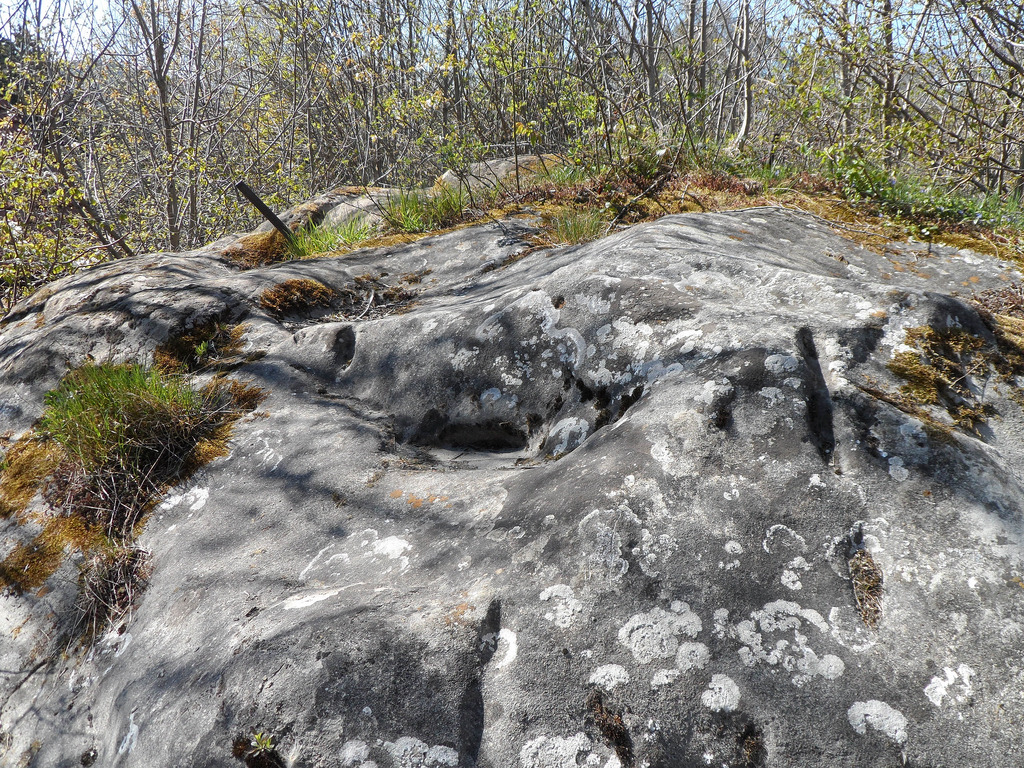 Holed Stone / Schalenstein Unter-Altenstein