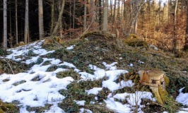 Grabhügel Grüthau
