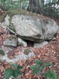 Wettswil Wannenboden